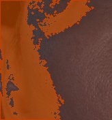 왼쪽 광대 색소 오버레이