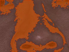 콧등 색소 오버레이