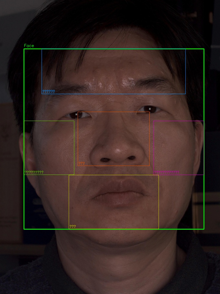③ 얼굴 감지 & ROI 분할