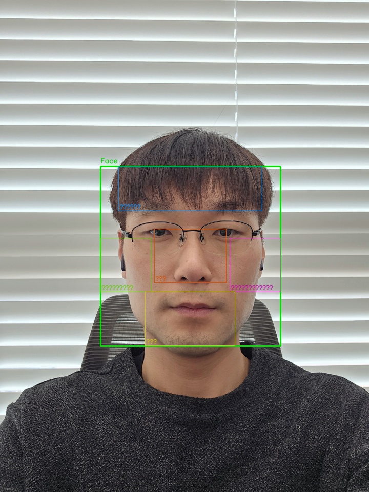 ③ 얼굴 감지 & ROI 분할